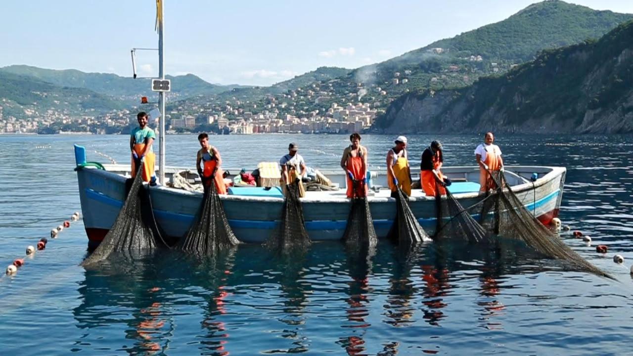 Stella Marina Ξενοδοχείο Camogli Εξωτερικό φωτογραφία